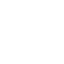 Telephonic/Skype