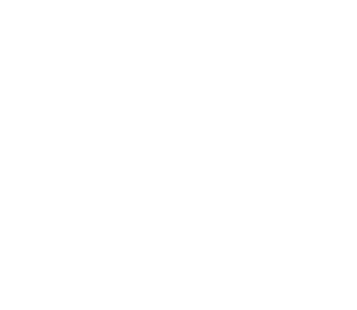 Healthcare Software Development Company 